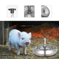thumbnail image 6 of NUOLUX Stainless Steel Feeding Bowl Trough Thicken Feeder for Pig Livestock (Silver), 6 of 6