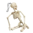 thumbnail image 4 of SUTENGDA Skeleton Skeleton Party Funny Toy, 4 of 6
