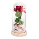 thumbnail image 2 of Rosa iluminada en cúpula de cristal, decoración creativa para San Valentín, regalos de flores rosas para Pareja de bases de madera, 2 of 9