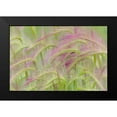 thumbnail image 2 of Mahan, Kathy 18x13 Black Modern Framed Museum Art Print Titled - Foxtail Barley II, 2 of 5