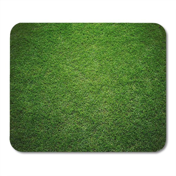 POGLIP Soccer Green Cricket Grass of Stadium Ground View Field Mousepad Mouse Pad Mouse Mat 9x10 inch