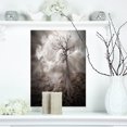 thumbnail image 1 of Arbre Solitaire Tenant la Lune - Impression sur Toile Paysage, 1 of 3
