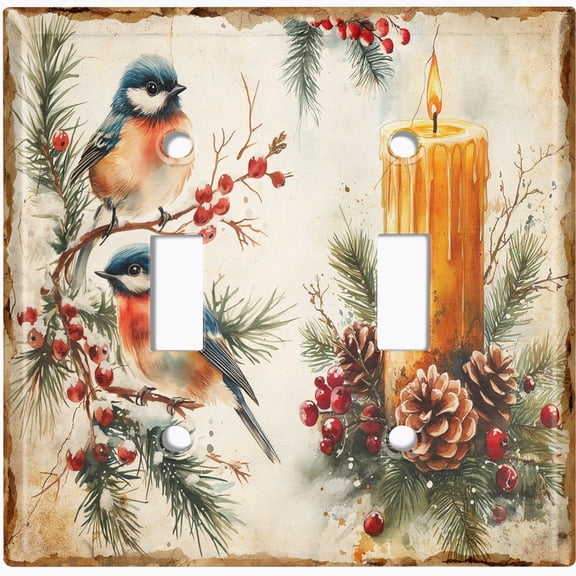 Metal Light Switch Wall Plate Outlet Cover (Printed Image of Winter Decor - Double Toggle)