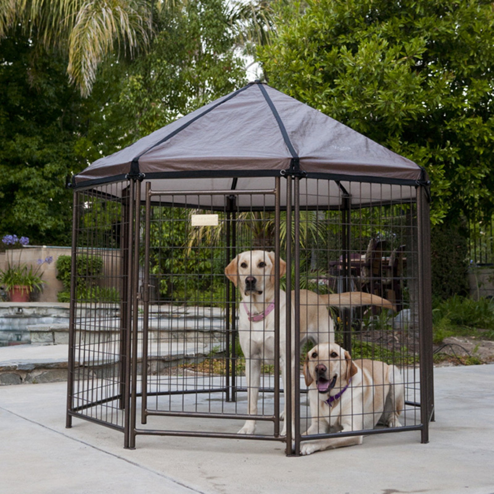 advantek pet gazebo large