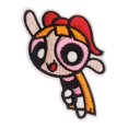 thumbnail image 5 of 11 Uds de pegatinas de tela bordadas MACHAO Accesorios de ropa de chicas superpoderosas de Anime, 5 of 5