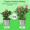 thumbnail image 4 of 8-pack Electroculture Copper Gardening Antenna - Pure Copper Wire, Stakes For Growing Plants (17 In-In Stock, 4 of 5