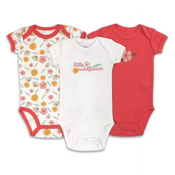 522B-3-3 0.3 Months Baby Dinos Bodysuits Variety Set - 3 Piece per Pack