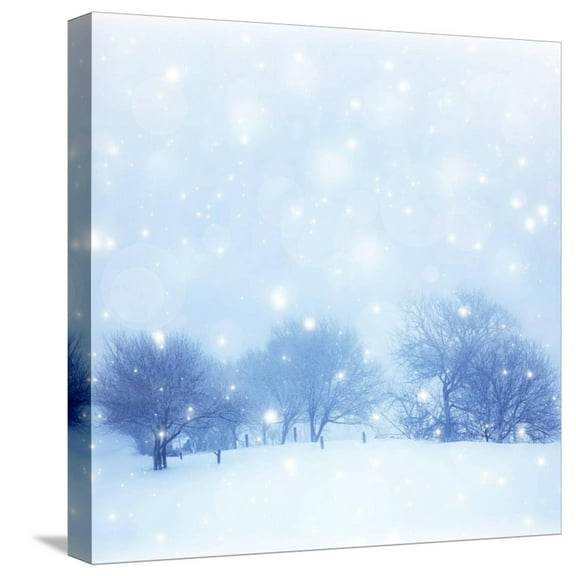 Art.com Beautiful Snowy Landscape Stretched Canvas Print Wall Art by Anna Omelchenko, 16" x 16"