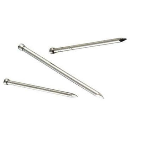 

Simpson Strong-Tie 8D 2-1/2 in. Finishing Stainless Steel Nail Brad Head 1 lb