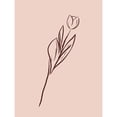 thumbnail image 3 of Villa, Milli 19x24 Black Modern Framed Museum Art Print Titled - Simple Rose Flowers 2, 3 of 5