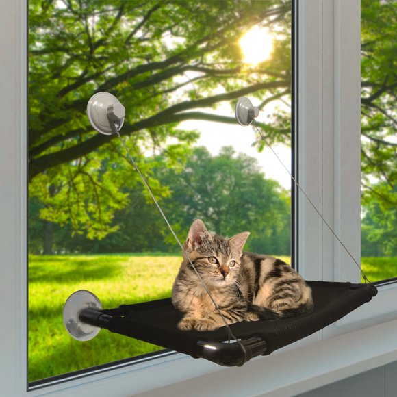 Cat Window Seat