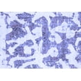 thumbnail image 1 of Ahgly Company Indoor Rectangle Abstract Blue Modern Area Rugs, 6' x 9', 1 of 4