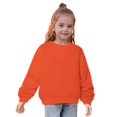 thumbnail image 4 of Bnwani Toddler Sweatshirt Boys Cotton Long Sleeve Sweatshirt Cute Plain Tops Pullover, 4 of 8