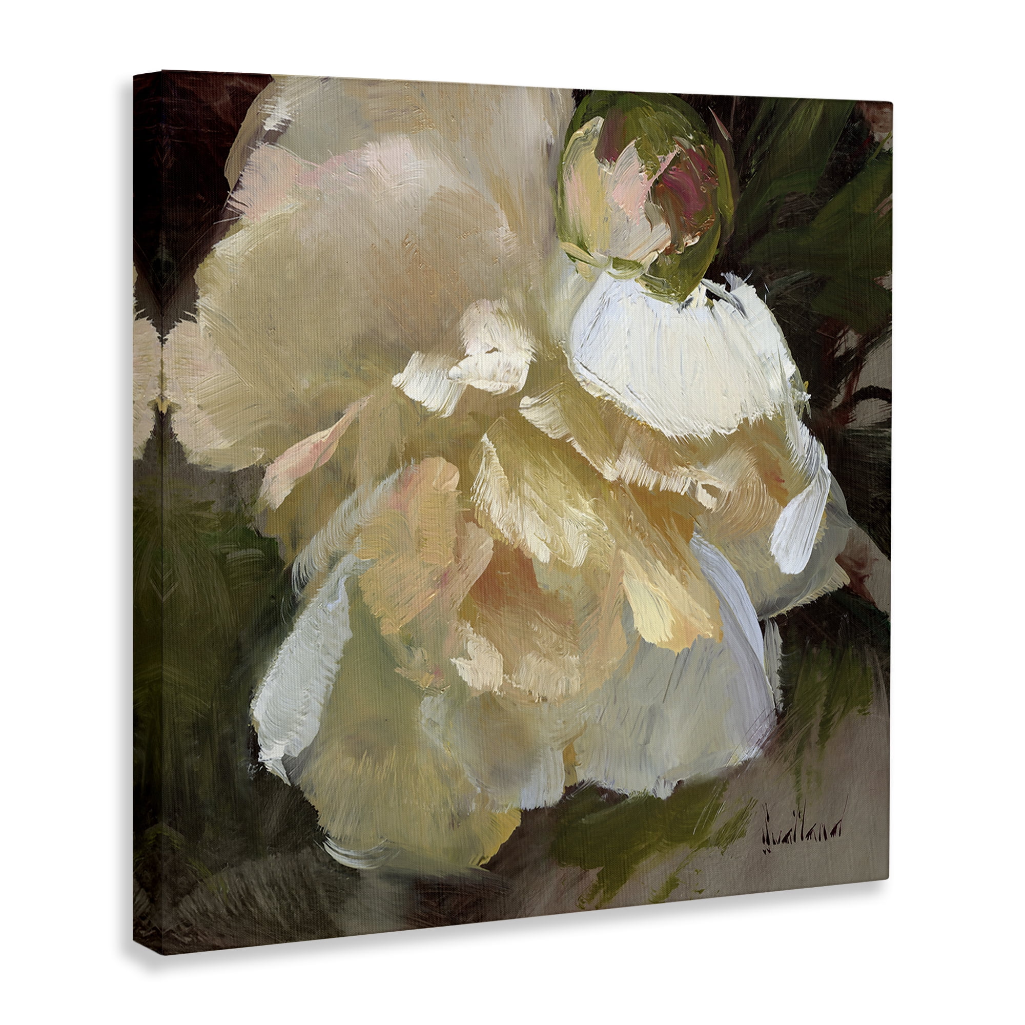 Stupell Industries Ruffled White Flower Plants & Flowers Painting Wrapped Canvas Art Print Wall Art, 36 x 36