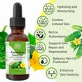 thumbnail image 2 of Cucumber Seed Oil (Cucumis Sativus) – 100% Pure Cold-Pressed Lightweight Hydrating Face, Body & Hair Oil by Relaxcation | 2 fl oz, 2 of 6