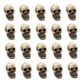 thumbnail image 1 of 20Pcs Mini Skull Head Realistic Skeleton Skull Resin Table Decor Skull N4W1, 1 of 7