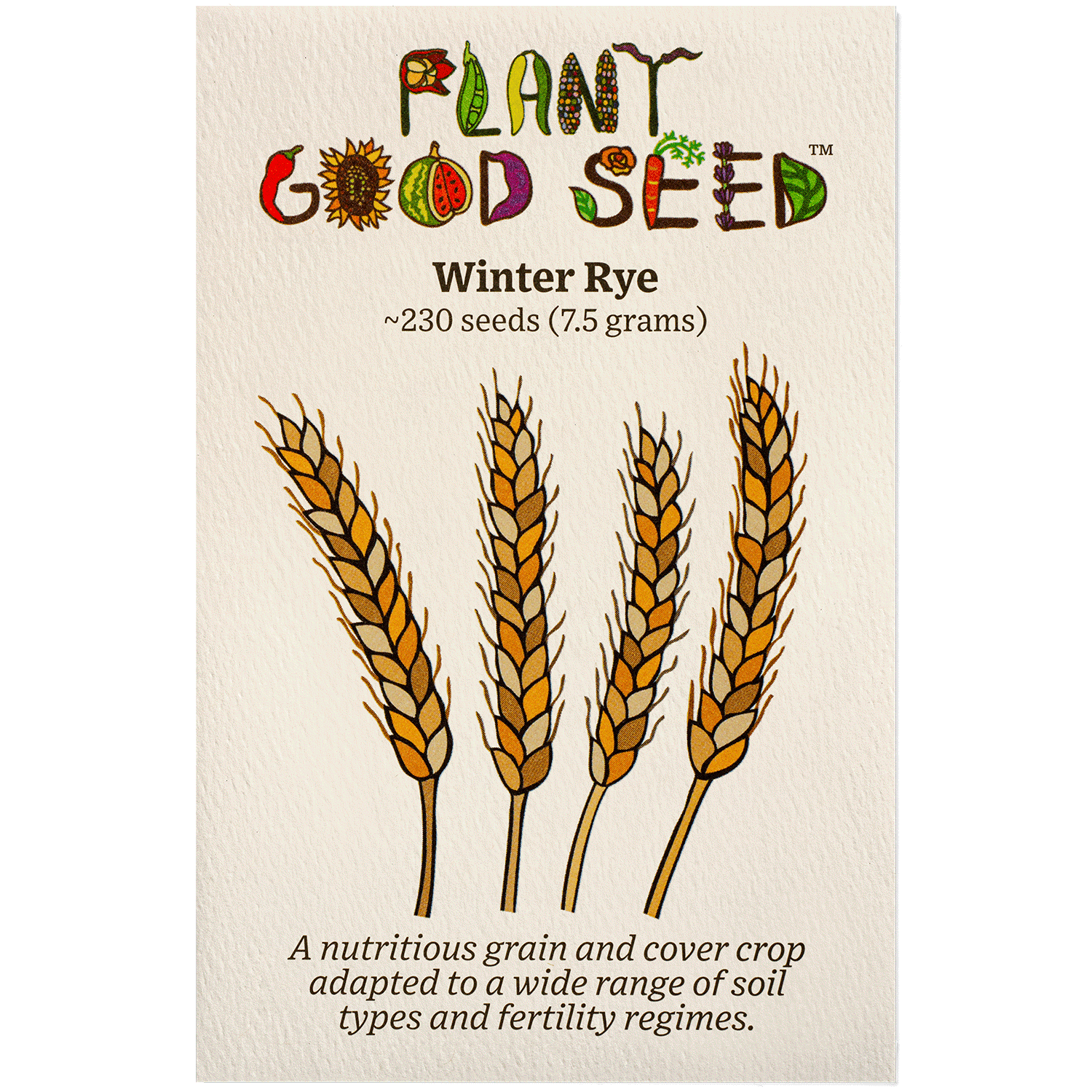 Plant Good Seed Company Winter Rye Seeds, Certified Organic, 230 Seeds