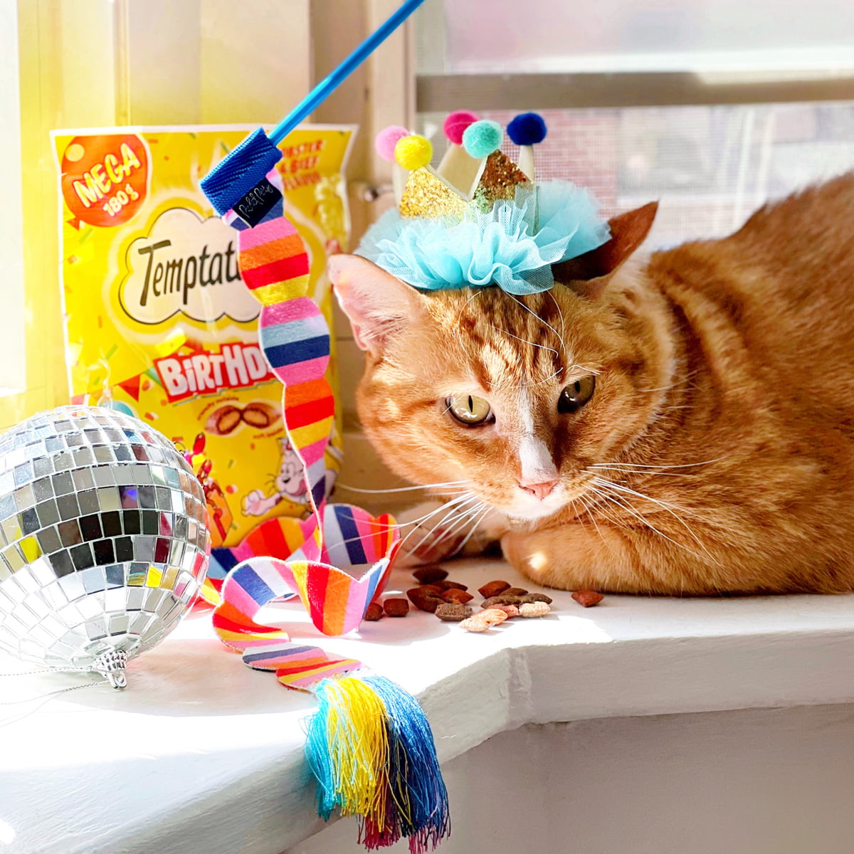 Packed Party Cat Birthday Box with Cat Treats, Interactive Toy & Accessory - Walmart.com