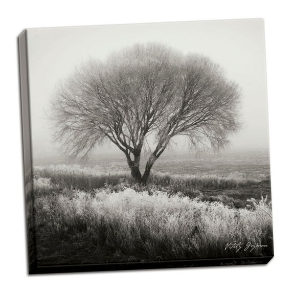 Gango Home Decor Tranquility BW IV by Vitaly Geyman (Ready to Hang); One 24x24in Hand-Stretched Canvas