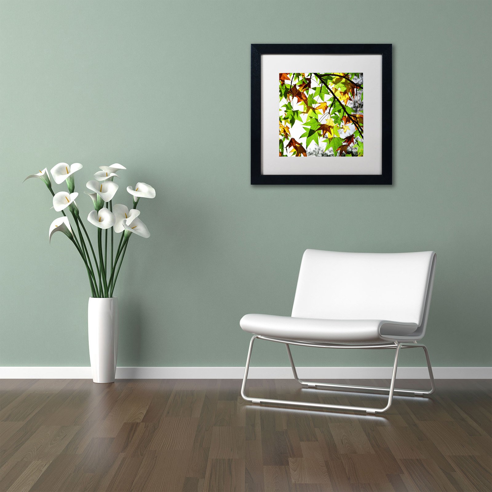 Trademark Fine Art "First Signs" Canvas Art by Beata Czyzowska Young, Black Matte, Black Frame