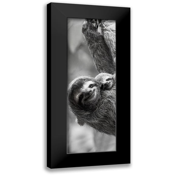 Goldstein, Jim 7x14 Black Modern Framed Museum Art Print Titled - Sloth Swing