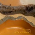 thumbnail image 4 of Plat d'Alimentation pour Reptiles, Simulation de Roche, Bol Anti-Fuite pour Reptiles, 4 of 9