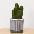 thumbnail image 3 of Better Homes & Gardens Pottery 8" Ballaro Ceramic Planter with Saucer,Grey, 3 of 9