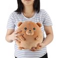 thumbnail image 1 of Ours Brun Doux, Peau Amicale Large Application Ours Brun Peluche Jouet Expression Réaliste pour le Bureau, 1 of 8