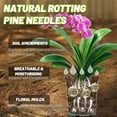 thumbnail image 2 of Tutuviw 10oz Natural Pine Needles Mulch for Potted Plants,Root Development of Orchid Plants and Garden,Rotting Pine Needles Mulch for Patio,Potting,Enhance Your Garden with Natural Aroma Benefits, 2 of 6