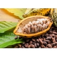 thumbnail image 7 of Cacao Paste Wafers, 8 Pounds — Raw, Vegan — by Food to Live, 7 of 7