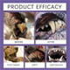 thumbnail image 4 of Pet Oral Repair Gel Pet Oral Restoration Gel Pet Teeth Pen Pet Teeth Repairing Kit Pet Breath Freshener Gel Care Cleaner Keep Your Pet Oral Healt 3ml, 4 of 9