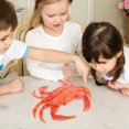 thumbnail image 3 of HLONK 2 pcs  Simulation Rubber Crab Model Artificial Animal Prank Props for Party Gathering, 3 of 8