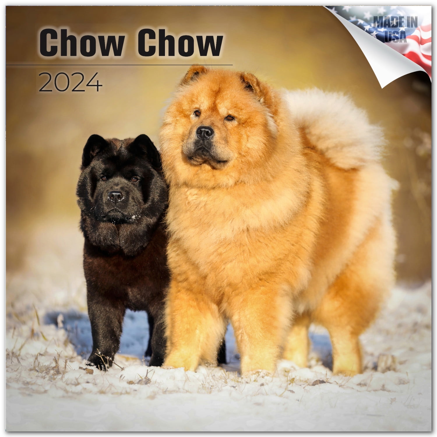 2023 2024 Chow Chow Calendar Dog Breed Monthly Wall Calendar 12 x