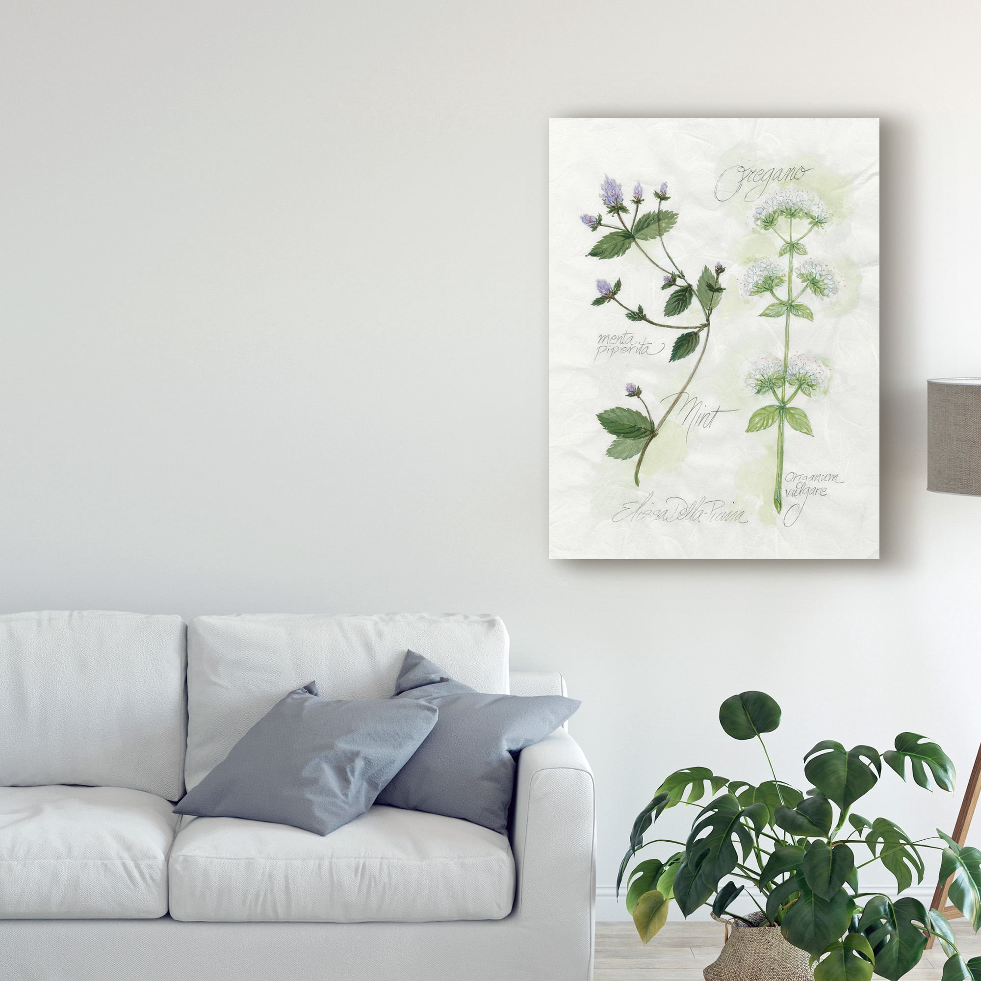 Trademark Fine Art 'Oregano and Mint' Canvas Art by Elissa Della-Piana