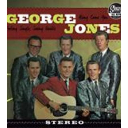 George Jones Along Come You (Vinyl Record) 7" Single