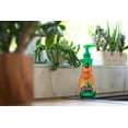 thumbnail image 4 of Miracle-Gro Succulent Plant Food 236mL, 4 of 6