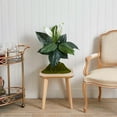 thumbnail image 3 of Nearly Natural 24in. Spathiphyllum Artificial Plant (Set of 3), Green, 3 of 4