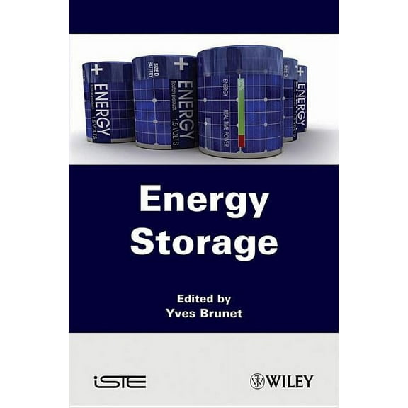 Energy Storage (Hardcover)
