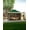 Dark Green & Gray, variant on COZONY 12'x12' Pop-Up Gazebo, Waterproof and UV Protection, Portable and Adjustable Tent