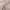 Taupe, variant on HOMERRY 60"W x 15"L Kitchen Curtain Valance Farmhouse Embossed Textured Blackout Valance Solid Valance Curtains, White, 1 Panel