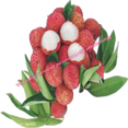 thumbnail image 3 of Pegatinas y calcomanías de frutas frescas Three Ratels M872 para accesorios de coche Toyota Yaris, calcomanías decorativas impermeables, 3 of 5