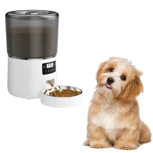 Dog food cheap feeder walmart