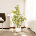 thumbnail image 4 of 36 inches Artificial Bamboo Tree in Nursery Pot, 4 of 5