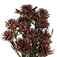 thumbnail image 2 of Vickerman 8-20" Purple Orchid Plumosum, Female, 8 flower heads per bundle, Preserved, 2 of 5