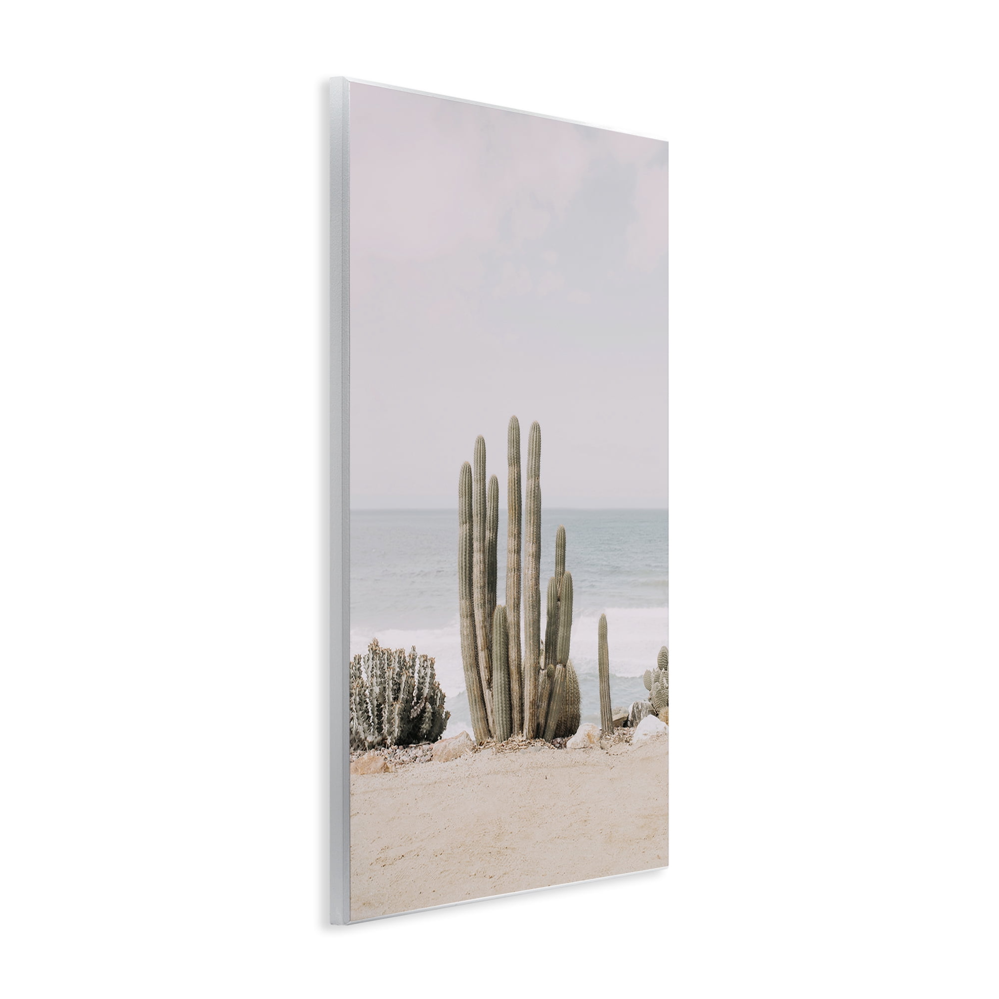 Stupell Industries Cactus on Beach Shore Landscape & Nature Photography Unframed Art Print Wall Art, 13 x 19