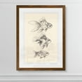 thumbnail image 3 of Wexford Home Goldfish III-Framed Print - Maple - 16X22, 3 of 4