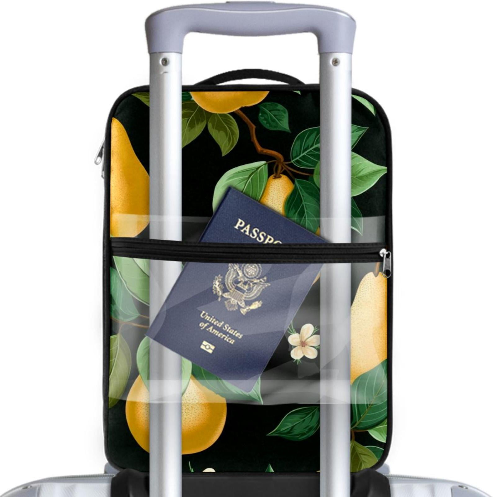 Shoe Box Organizer 23x31cm/9x12in - Storage Solution for Shoes and More - Durable and Space-Saving - Closet Essential