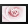 thumbnail image 2 of Delimont, Danita 24x17 Black Modern Framed Museum Art Print Titled - Rose Embrace, 2 of 5