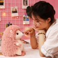 thumbnail image 4 of Hedgehog Plush Doll Stuffed Animal Plushies Cute Pacify Doll Bedside Rag Toy, 4 of 5