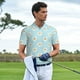 thumbnail image 3 of Balery Daisies Flowers Camisa Polo de Hombre con Estampado, de Manga Corta y Tejido Medio, Camisa Tipo Golf Polo-X-Large, 3 of 6